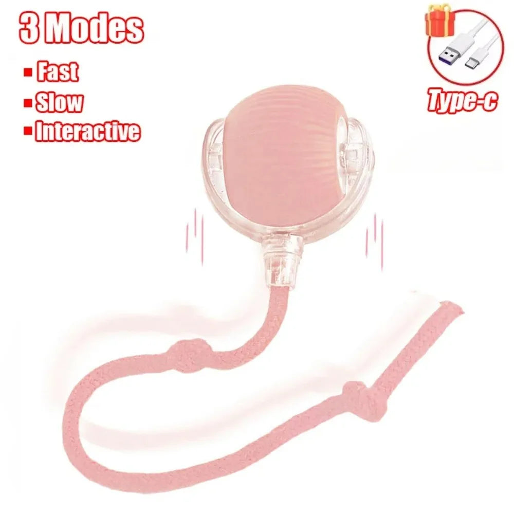 Sc20e7302a0b84030aa7f5c49e8351a08w